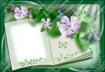 Foto Effekt från kategori Olika № 112842 Foto Effekt från kategori Olika № 112842