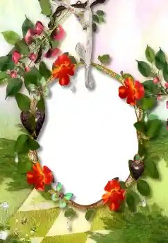 Foto Effekt från kategori Olika № 113118 Foto Effekt från kategori Olika № 113118