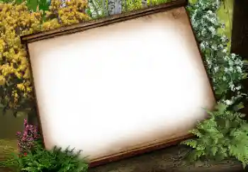 Foto Effekt från kategori Olika № 113134 Foto Effekt från kategori Olika № 113134