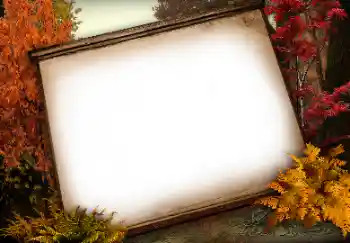 Foto Effekt från kategori Olika № 113138 Foto Effekt från kategori Olika № 113138