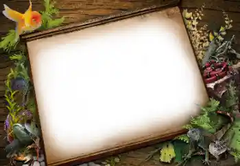 Foto Effekt från kategori Olika № 113139 Foto Effekt från kategori Olika № 113139