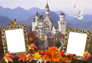 Foto Effekt från kategori Olika № 114211