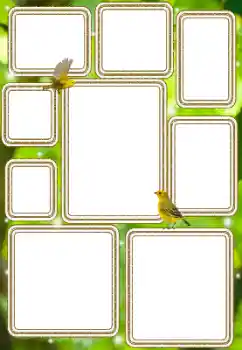 Foto Effekt från kategori Olika № 114577