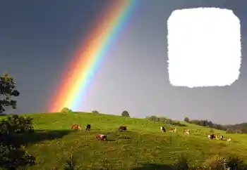 Foto Effekt från kategori Olika № 114599