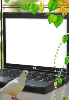 Foto Effekt från kategori Olika № 114633