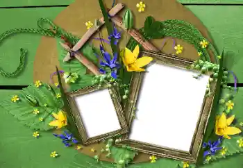 Foto Effekt från kategori Olika № 115748