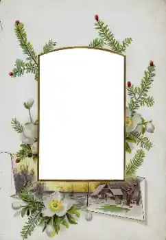 Foto Effekt från kategori Olika № 115833