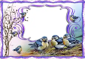 Foto Effekt från kategori Olika № 115877