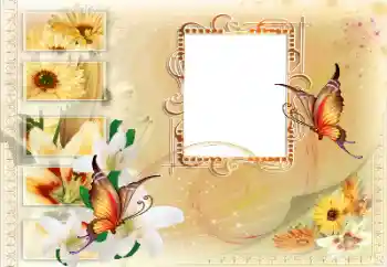 Foto Effekt från kategori Olika № 115894