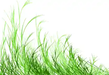 Foto Effekt från kategori Olika № 115932