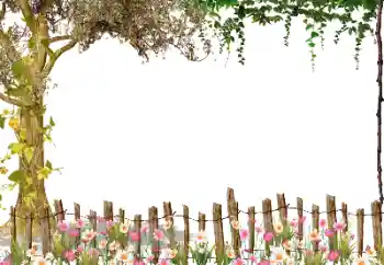 Foto Effekt från kategori Olika № 115954