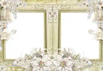 Foto Effekt från kategori Olika № 116108