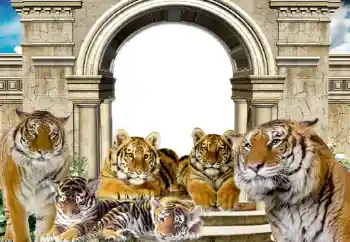 Foto Effekt från kategori Olika № 116203