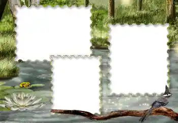 Foto Effekt från kategori Olika № 116216