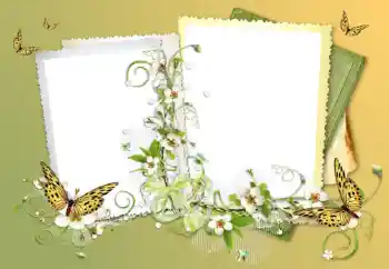 Foto Effekt från kategori Olika № 117632