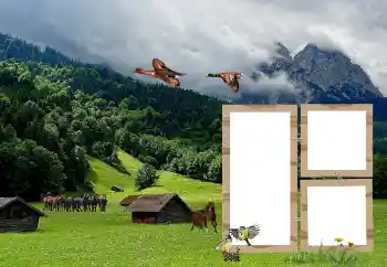 Foto Effekt från kategori Olika № 118908