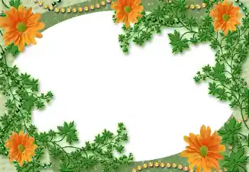 Foto Effekt från kategori Olika № 118929