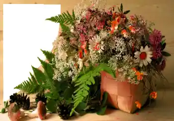 Foto Effekt från kategori Olika № 120020 Foto Effekt från kategori Olika № 120020