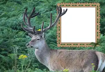 Foto Effekt från kategori Olika № 121049 Foto Effekt från kategori Olika № 121049