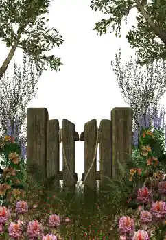 Foto Effekt från kategori Olika № 123212 Foto Effekt från kategori Olika № 123212