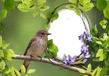 Foto Effekt från kategori Olika № 123219 Foto Effekt från kategori Olika № 123219