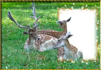 Foto Effekt från kategori Olika № 123221 Foto Effekt från kategori Olika № 123221