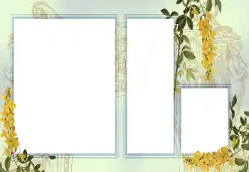 Foto Effekt från kategori Olika № 123242 Foto Effekt från kategori Olika № 123242