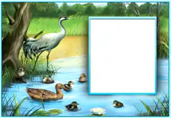 Foto Effekt från kategori Olika № 124254 Foto Effekt från kategori Olika № 124254