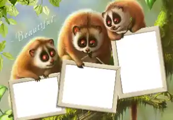 Foto Effekt från kategori Olika № 124434 Foto Effekt från kategori Olika № 124434