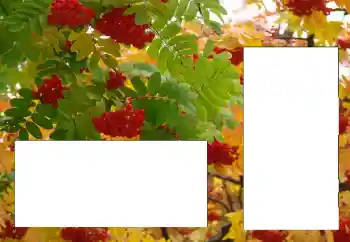 Foto Effekt från kategori Olika № 124596 Foto Effekt från kategori Olika № 124596