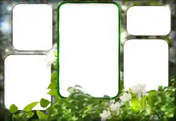 Foto Effekt från kategori Olika № 125911 Foto Effekt från kategori Olika № 125911