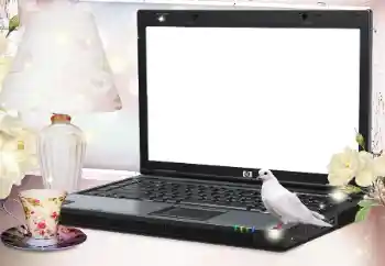 Foto Effekt från kategori Olika № 127079 Foto Effekt från kategori Olika № 127079