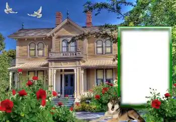 Foto Effekt från kategori Olika № 127146 Foto Effekt från kategori Olika № 127146