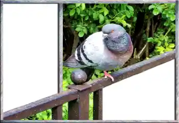 Foto Effekt från kategori Olika № 127181 Foto Effekt från kategori Olika № 127181