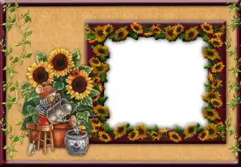 Foto Effekt från kategori Olika № 12849