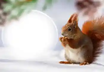 Foto Effekt från kategori Olika № 128568