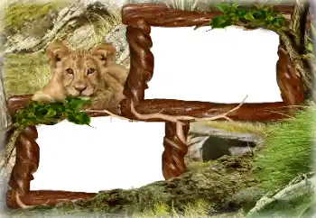 Foto Effekt från kategori Olika № 128637 Foto Effekt från kategori Olika № 128637