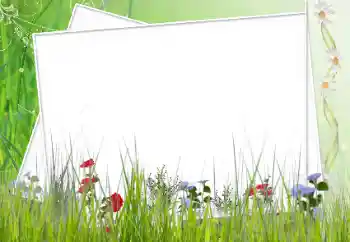 Foto Effekt från kategori Olika № 12902