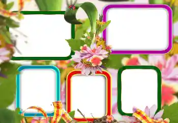 Foto Effekt från kategori Olika № 129813 Foto Effekt från kategori Olika № 129813