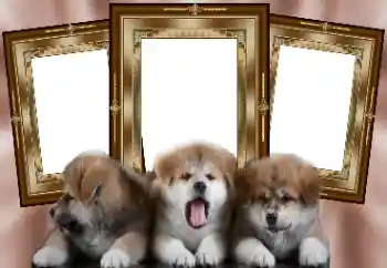 Foto Effekt från kategori Olika № 130156 Foto Effekt från kategori Olika № 130156