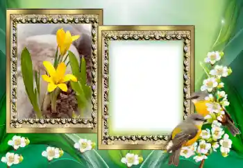 Foto Effekt från kategori Olika № 130649 Foto Effekt från kategori Olika № 130649