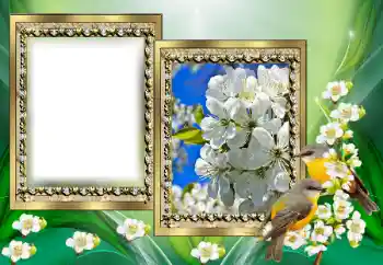 Foto Effekt från kategori Olika № 130650 Foto Effekt från kategori Olika № 130650