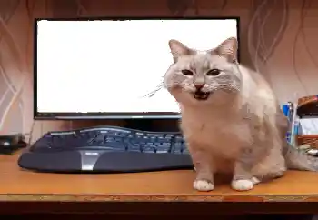 Foto Effekt från kategori Olika № 130940