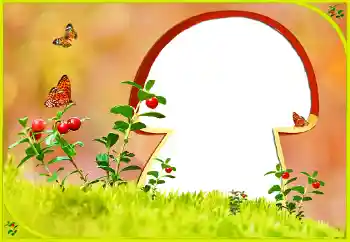 Foto Effekt från kategori Olika № 131022