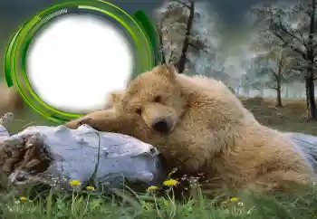 Foto Effekt från kategori Olika № 131305 Foto Effekt från kategori Olika № 131305