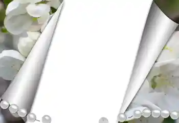 Foto Effekt från kategori Olika № 131361 Foto Effekt från kategori Olika № 131361