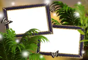 Foto Effekt från kategori Olika № 133299