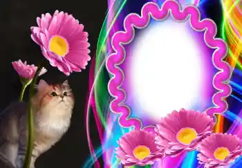 Foto Effekt från kategori Olika № 138543