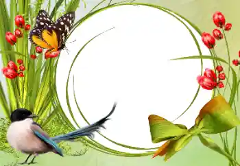 Foto Effekt från kategori Olika № 138546 Foto Effekt från kategori Olika № 138546