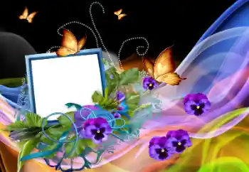 Foto Effekt från kategori Olika № 138568 Foto Effekt från kategori Olika № 138568